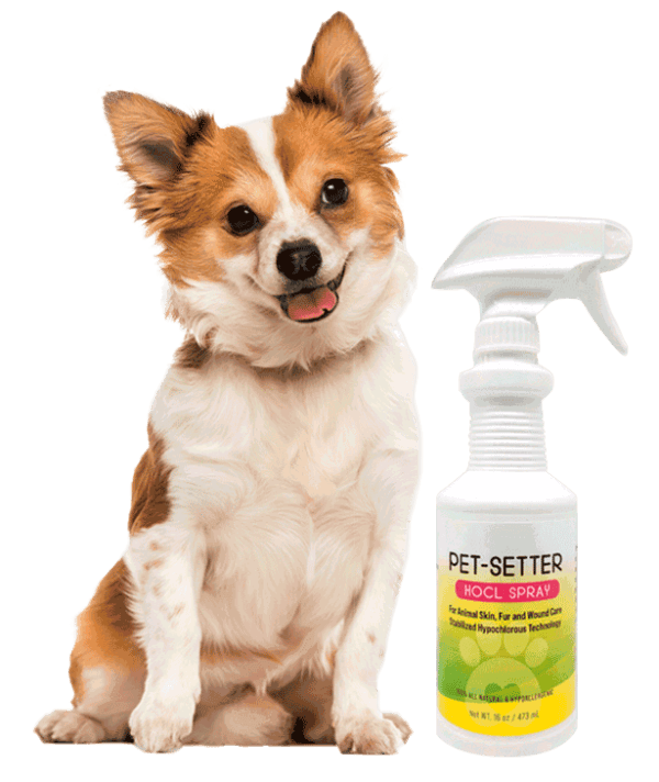 Home Pet Setter HOCL Spray